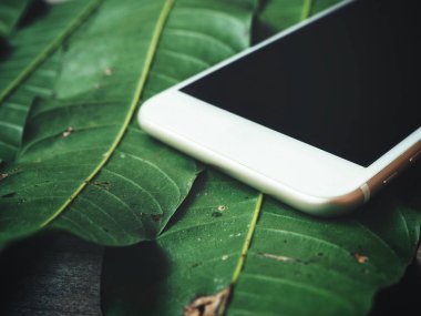 yeşil yaprakları arka plan üzerinde smartphone ile boş ekran görünümünü kapat