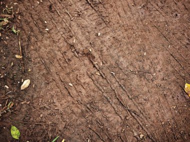 Kirli yol yüzeyinde tekerlek izi görünümü Kapat