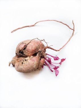 Beyaz arka plan üzerinde izole taze çiğ tatlı patates