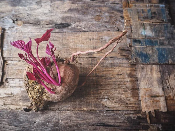 Eski ahşap zemin üzerine taze çiğ tatlı patates