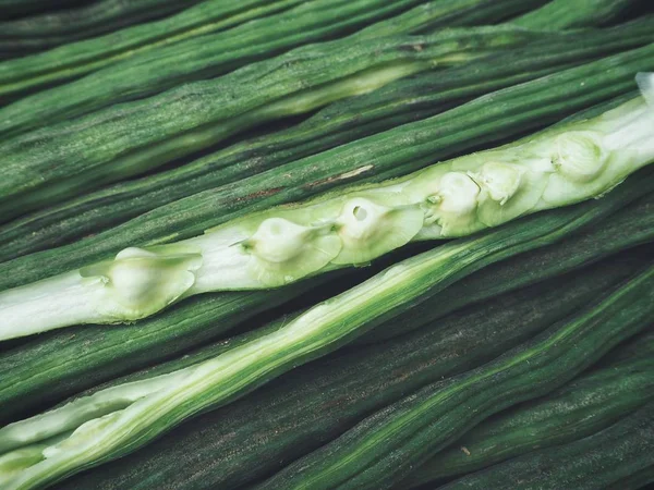 Close up of green moringa — Stock Photo, Image
