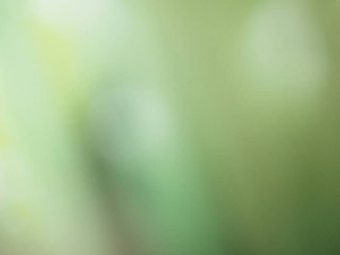 yeşil arka plan veya doku