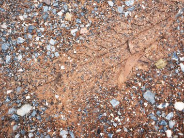 Kirli yol yüzeyinde tekerlek izi görünümü Kapat