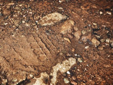 Kirli yol yüzeyinde tekerlek izi görünümü Kapat