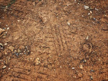 Kirli yol yüzeyinde tekerlek izi görünümü Kapat