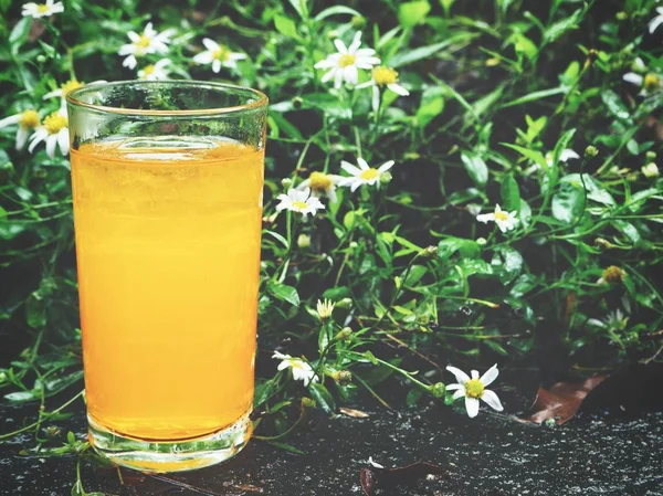 Glas Kall Färsk Apelsinjuice Nära Chamomiles — Stockfoto