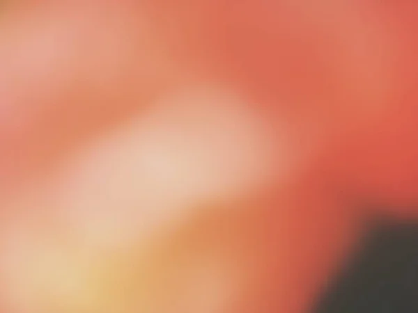 明るいヴィンテージ ボケ味のテクスチャ背景 — ストック写真