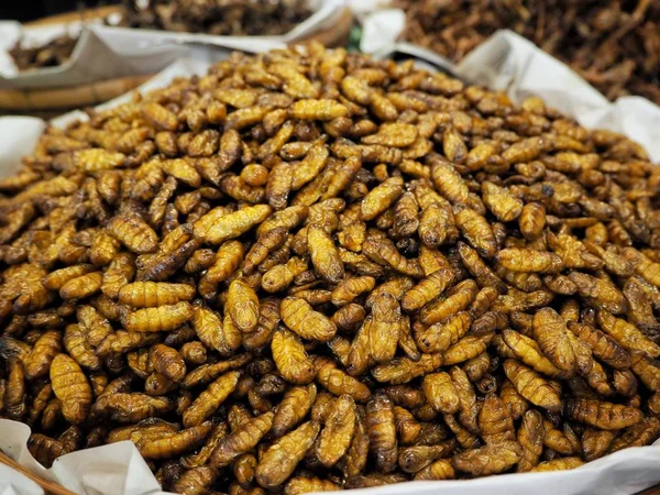 Enfoque Selectivo Pila Deliciosos Insectos Fritos — Foto de Stock