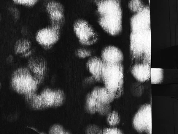 暗い影と背景の木のクローズ アップ ビュー — ストック写真