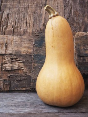 tek Bütün Konfit butternut squash yakından görmek