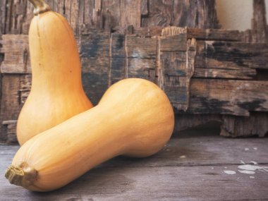 Eski ahşap zemin üzerine sarı olgun butternut kabak