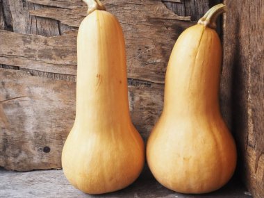 Eski ahşap zemin üzerine sarı olgun butternut kabak