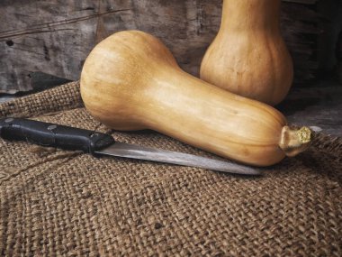 Olgun sarı butternut squashes çul eski ahşap zemin üzerine 