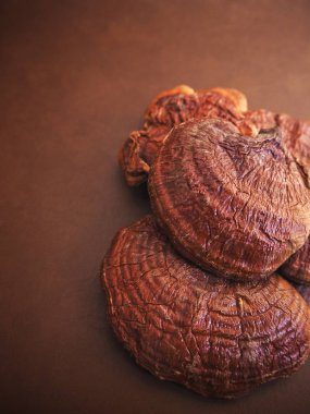 Ganoderma Lucidium Reishi mantar kahverengi deri arka plan üzerinde
