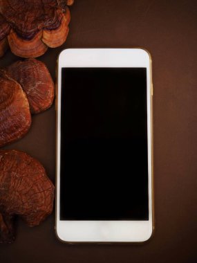 Ganoderma Lucidium Ling Zhi mantar ile smartphone kahverengi deri arka plan üzerinde