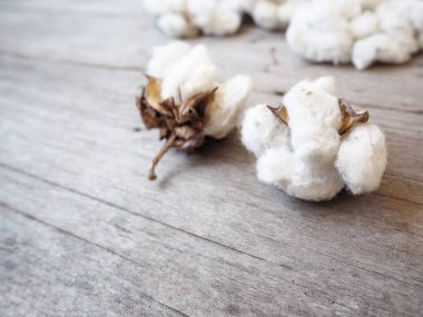 Ahşap arka plan üzerinde beyaz yumuşak pamuklu bitkiler