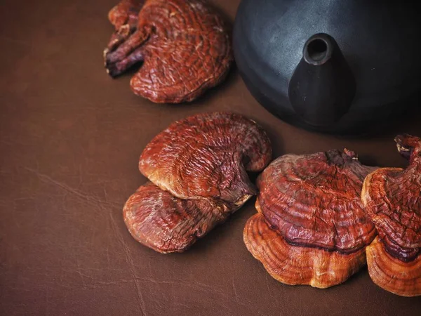 Ganoderma Lucidum Lingzhi Champiñones Sobre Fondo Cuero Marrón —  Fotos de Stock