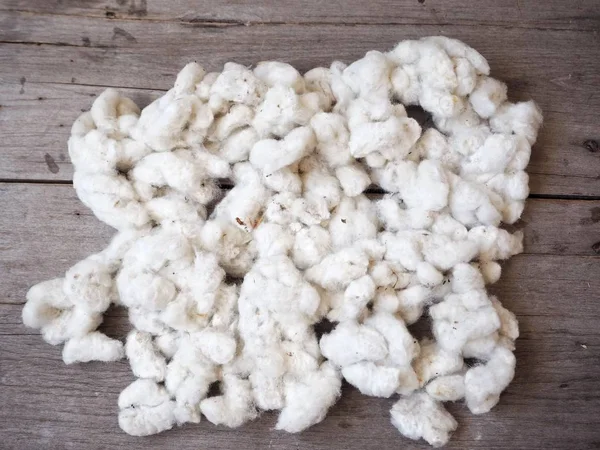White Soft Cotton Plants Wooden Background — Stock Photo, Image