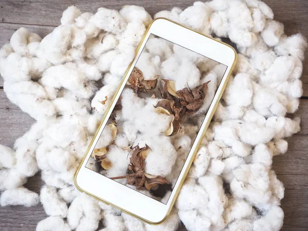 Bovenaanzicht Van Smartphone Katoen Bloemen Houten Tafel — Stockfoto