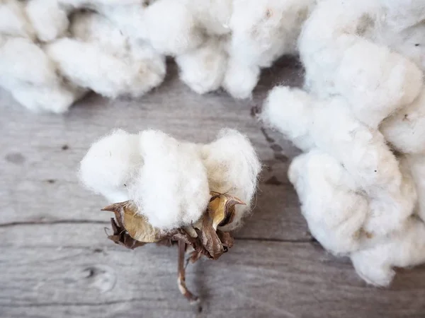 木製の背景に白い柔らかい綿植物 — ストック写真