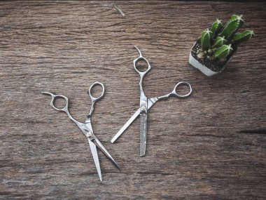 Saç kesme makası ile kaktüs ahşap arka plan üzerinde