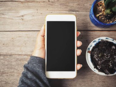 Ahşap arka plan üzerinde Kore deniz yosunu ile Smartphone