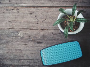 ahşap masa üzerinde taşınabilir ses hoparlör ve yeşil houseplant üstten görünüm   