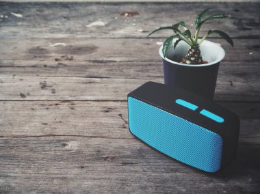 Taşınabilir ses hoparlör ve Saksı bitki yakından görmek ahşap tablo     