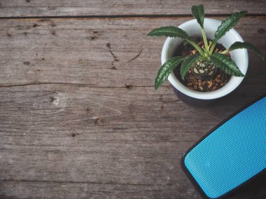 ahşap masa üzerinde taşınabilir ses hoparlör ve Saksı bitki üstten görünüm   