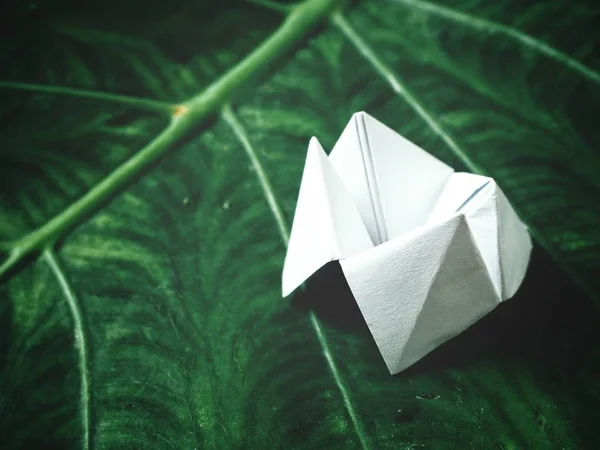 Paper fortune teller on leaf background