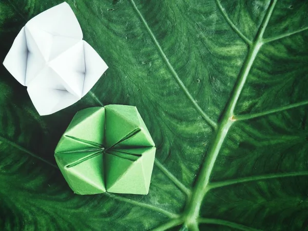Paper fortune tellers on leaf background