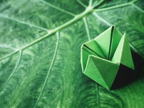 Paper fortune teller on leaf background