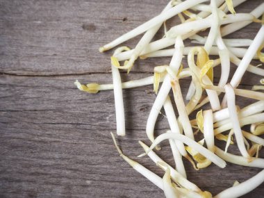 Fasulye filizlerini kapatın.