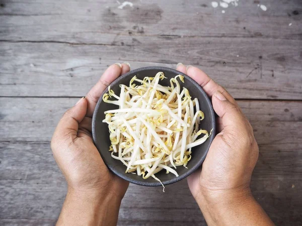 Primer plano de brotes de frijol —  Fotos de Stock