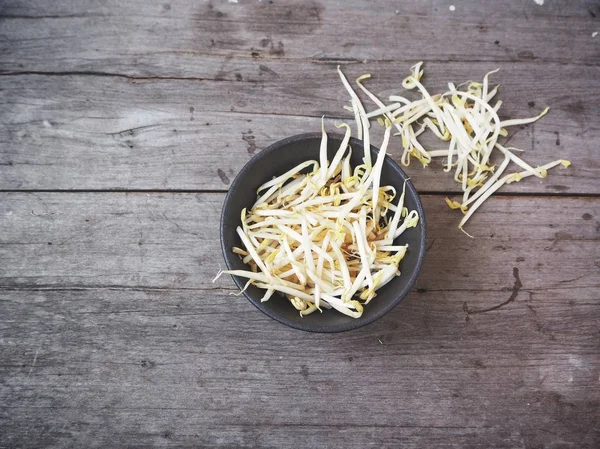 Primer plano de brotes de frijol —  Fotos de Stock