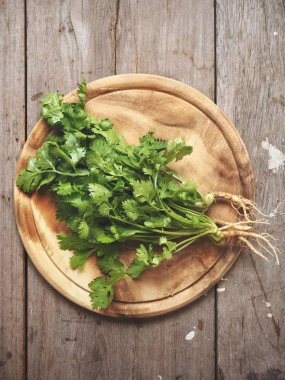 Yeşil kişniş yakın çekim