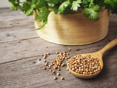 Kişniş ahşap arka plan üzerinde