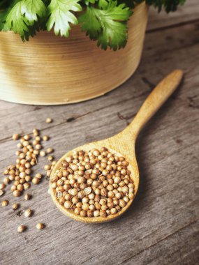 Kişniş ahşap arka plan üzerinde