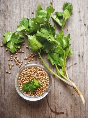 Kişniş ahşap arka plan üzerinde