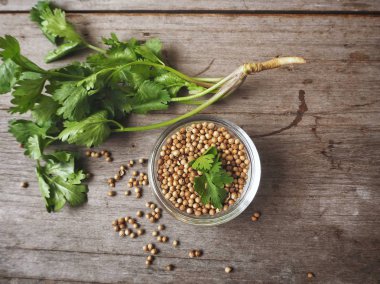 Kişniş ahşap arka plan üzerinde