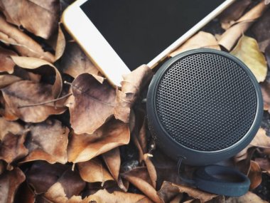 Akıllı telefon ile Bluetooth Hoparlör