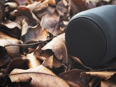 Kurutulmuş yaprakları üzerinde Bluetooth sözcü