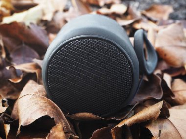 Kurutulmuş yaprakları üzerinde Bluetooth sözcü