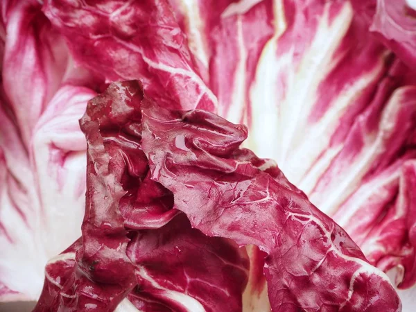 Radicchio yakın çekim — Stok fotoğraf