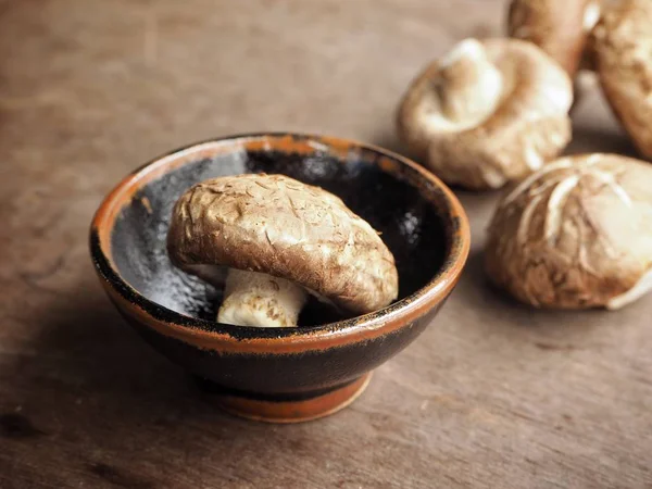 Shiitake svamp på trä bakgrund — Stockfoto