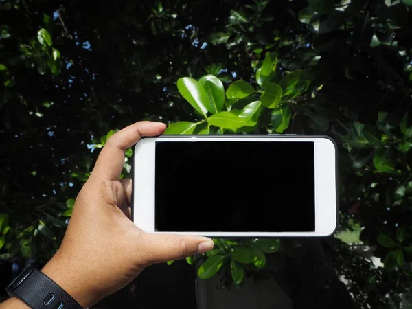 Teléfono inteligente en la mano y hojas — Foto de Stock