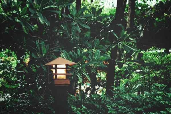 Lampe dans le jardin des arbres — Photo