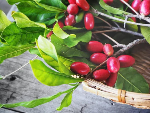 Fruta milagrosa sobre fondo de madera — Foto de Stock