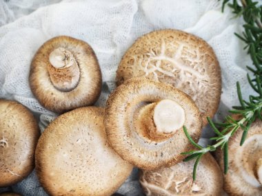 Ahşap arka planda Shiitake mantarları