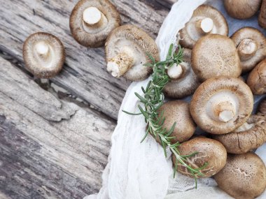 Ahşap arka planda Shiitake mantarları